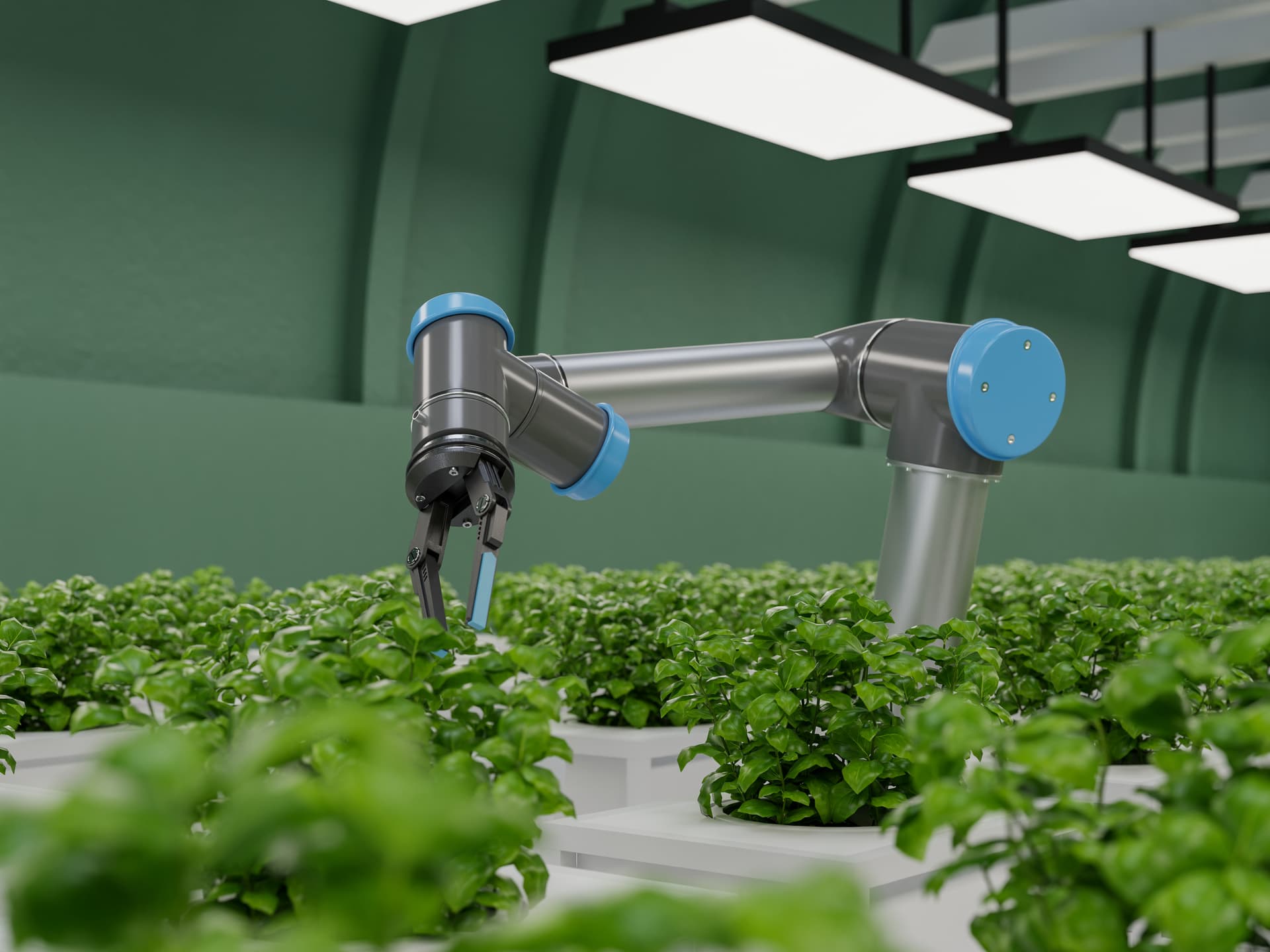 Grow Organic facility